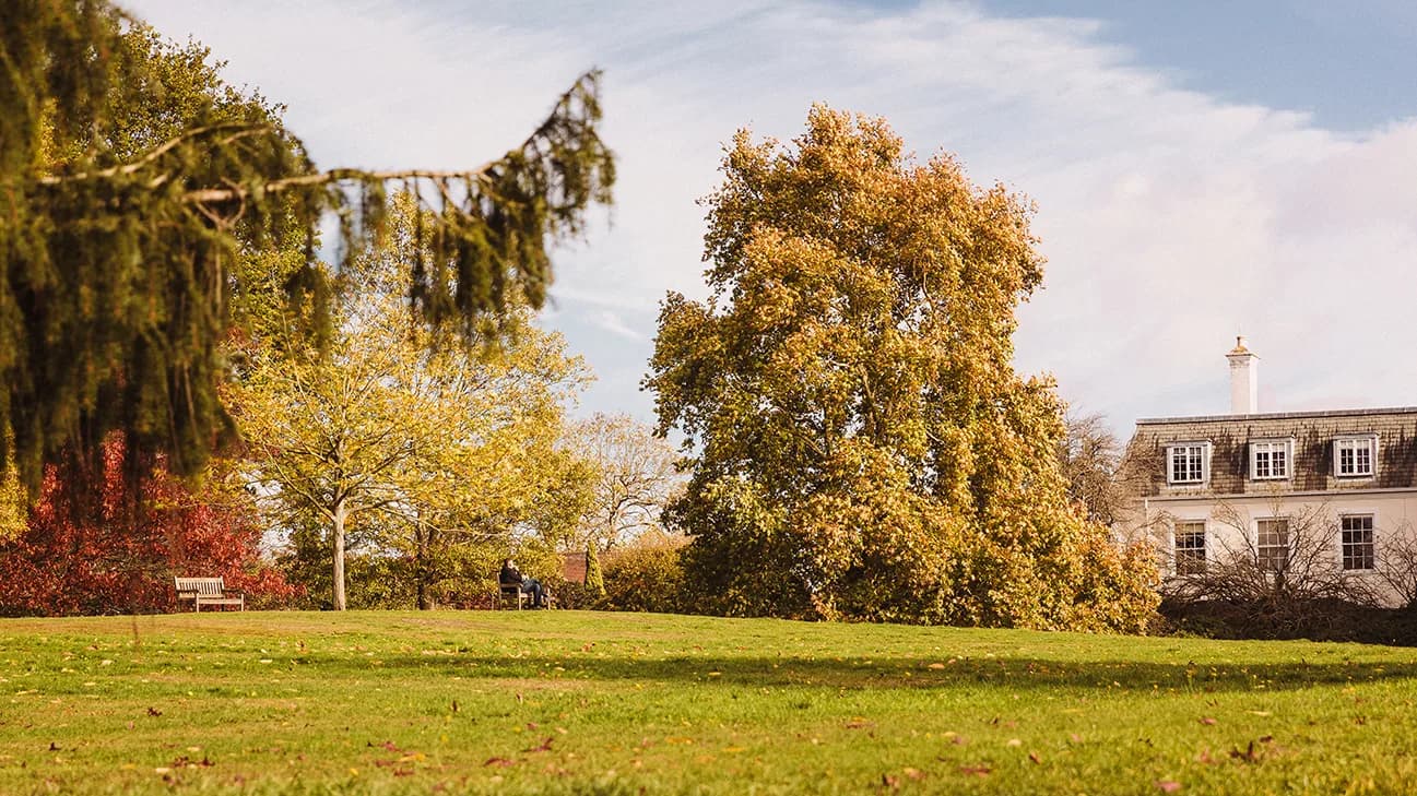 Wimbledon Residence, park