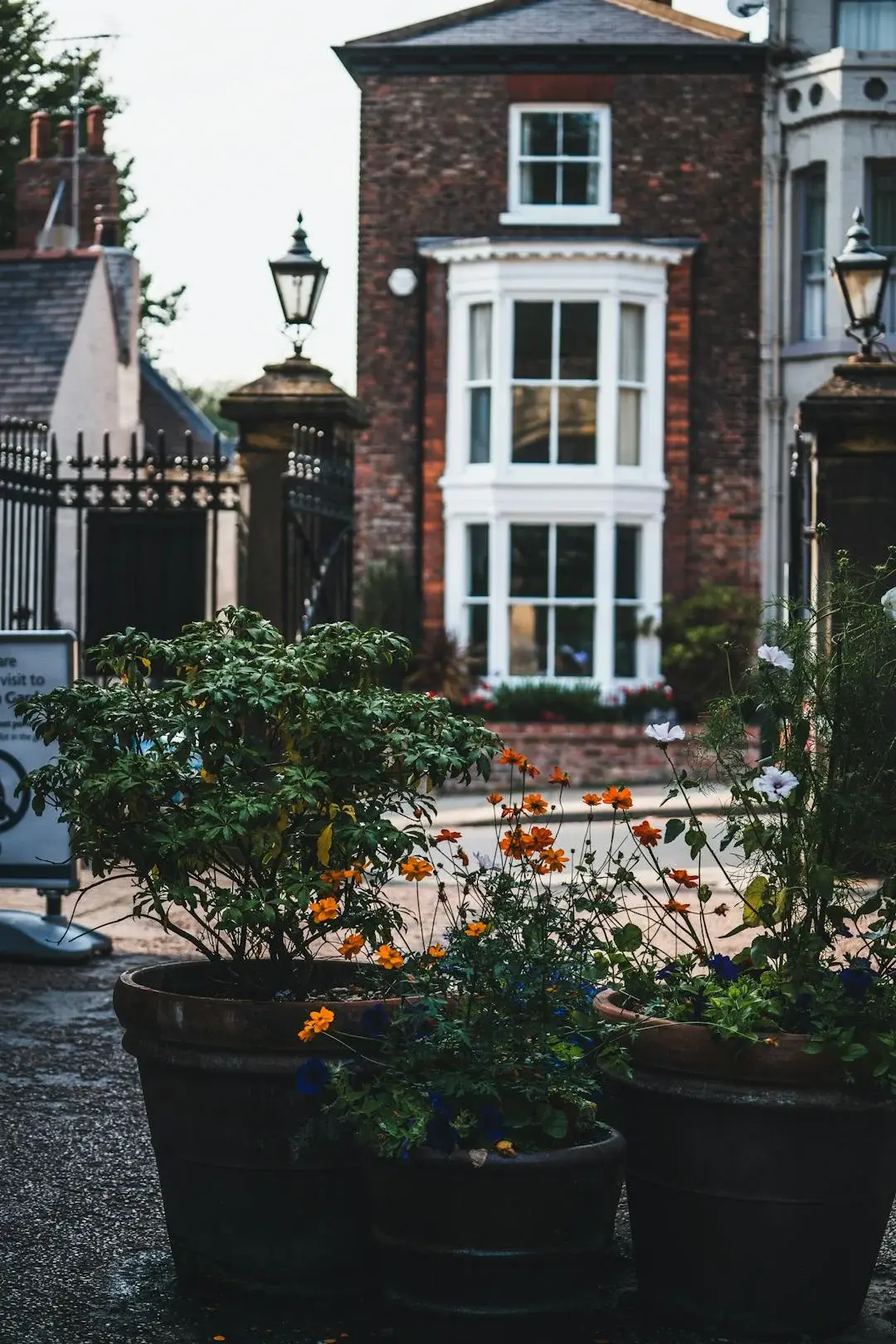 The Widest Choice of Homes in More Than a Decade