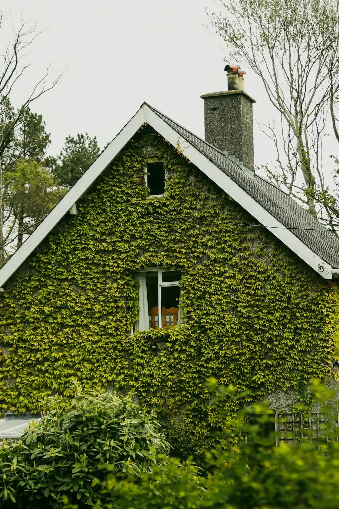 Housing Market Update