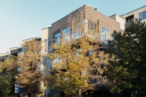 Renting By Choice